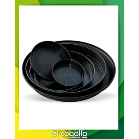 Plato redondo 12 x 2,5 cm