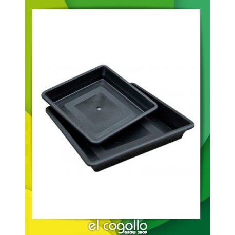 Plato cuadrado 13 / 15 / 18 cm