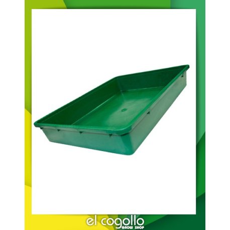 Bandeja portadora (60 x 40 x 10 cm)