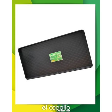 Bandeja Grande Baja 110x55 cm Giant Garden