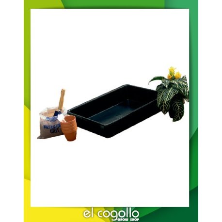 Bandeja Chieftain 64,5 x 49,5 cm