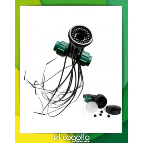 Gotero Medusa