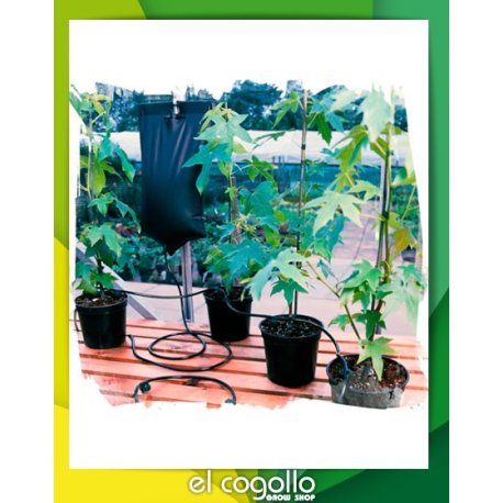 Gotero Big Drippa Watering Kit (G77)