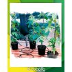 Gotero Big Drippa Watering Kit (G77)  6 Goteros