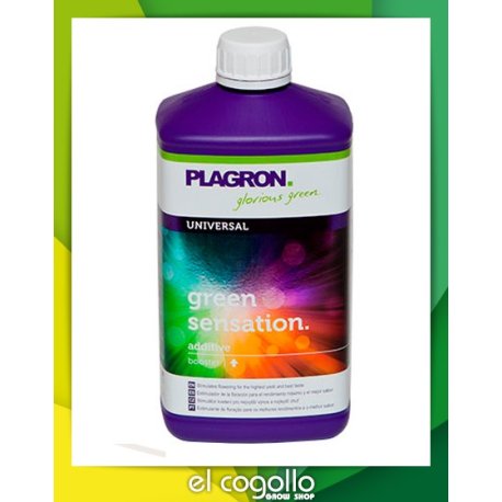 Green Sensation 100 ml. Floración
