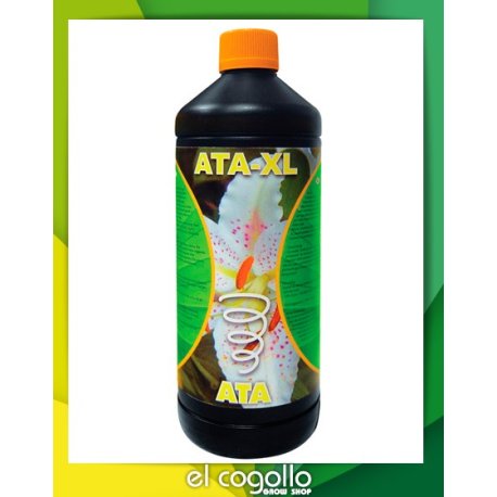 Ata XL B'Cuzz Crecimiento y Floración