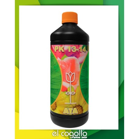 PK 13-14 B'Cuzz Floración