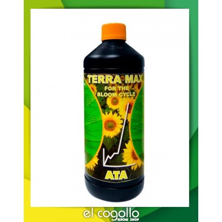 Terra Max B'Cuzz Floración