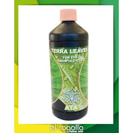 Terra Leaves B'Cuzz Crecimiento