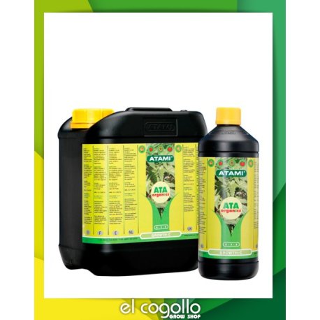 Growth C B'Cuzz Crecmiento