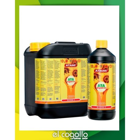 Bloom C B'Cuzz Floración