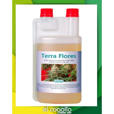 Terra Flores Floración
