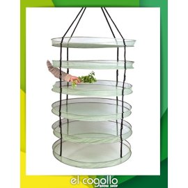 Secador Dark Box Dryer