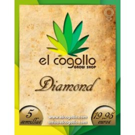 Diamond 5 semillas