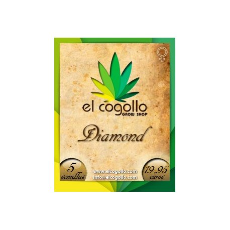 Diamond 5 semillas