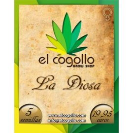 La Diosa 5 semillas