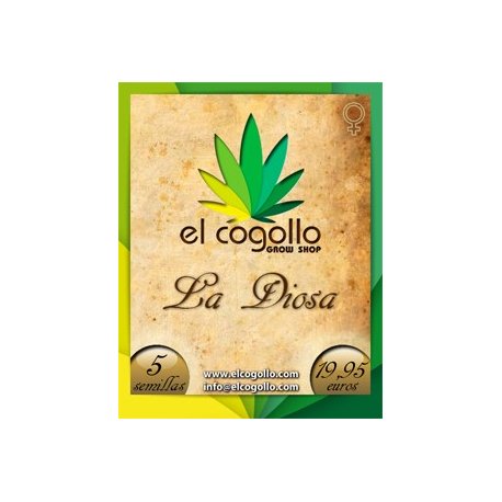 La Diosa 5 semillas
