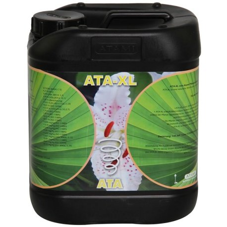 Ata XL B'Cuzz Crecimiento y Floración