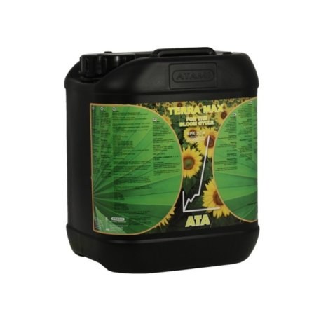 Terra Max B'Cuzz Floración