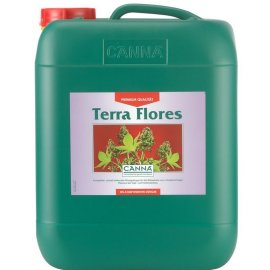 Terra Flores Floración