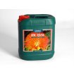 PK 13-14 Canna