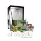 Kit Elcogollo