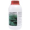 Bachumus Ecohemp Crecimiento