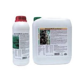 Bachumus Ecohemp Floración
