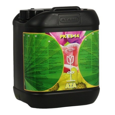 PK 13-14 B'Cuzz Floración