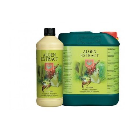 Extracto de Alga potenciador de crecimiento