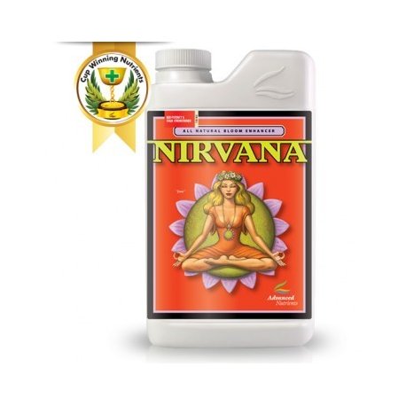 Nirvana