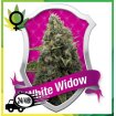 White Widow Royal