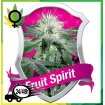 Fruit Spirit