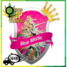 Blue Mistic