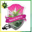 Special Kush 1