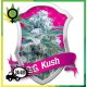 O.G. Kush