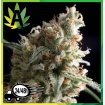 Auto Super Hash 