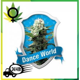 Dance World Medicinal