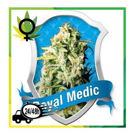 Royal Medic Medicinal