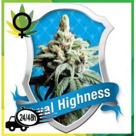 Royal Highness Medicinal