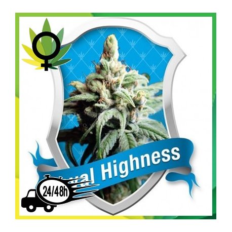 Royal Highness Medicinal