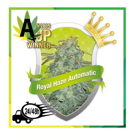 Royal Haze Automatic Autofloración