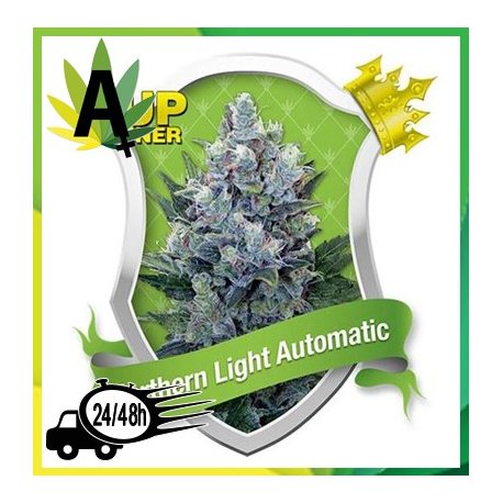 Northern Light Automatic Autofloración
