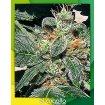 Red Diesel