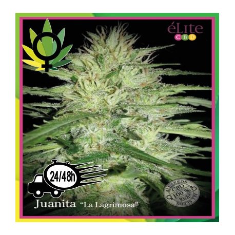 Juanita La Lagrimosa