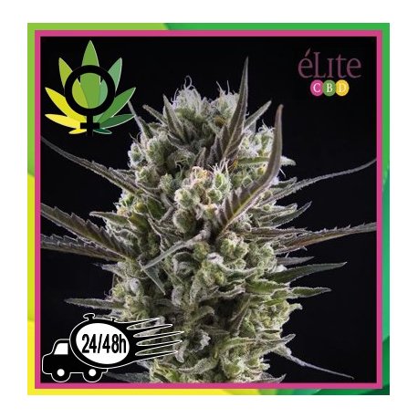 Llimonet Haze Clásica CBD