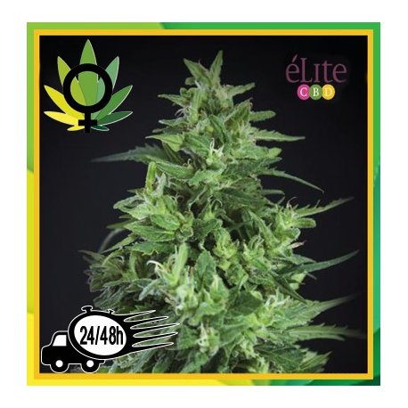 Llimonet Haze Ultra CBD