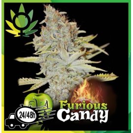 Furios Candy