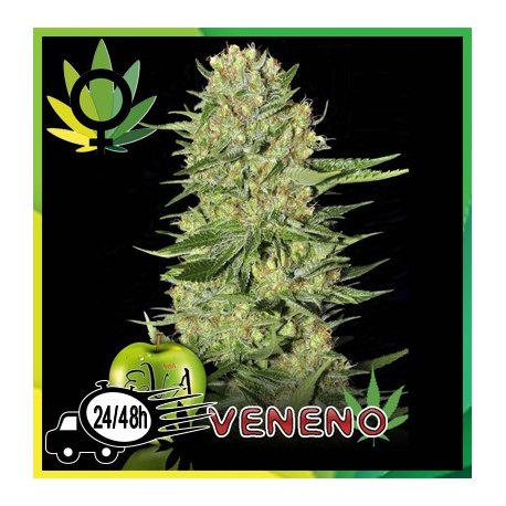 Veneno