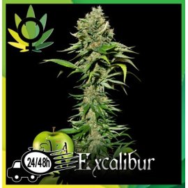 Excalibur